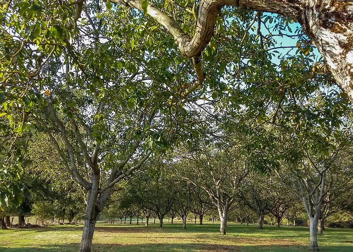 Maison Familiale Près De Rocamadour Avec Jardin Et Wifi - Fr-1-828-9 Alvignac