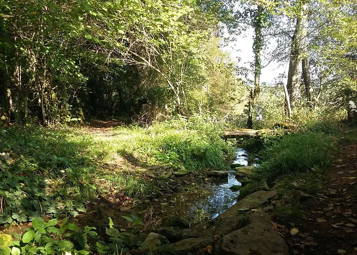 Maison Familiale Près De Rocamadour Avec Jardin Et Wifi - Fr-1-828-9 * Alvignac
